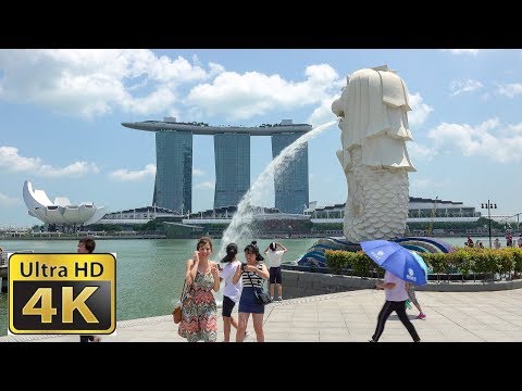 Video: Ekskursioonid Singapuris