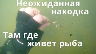 "Утопленница" или нет?.Пляжный коп с металлоискателем и аквалангом "Утопленница" или нет?.Пляжный коп с металлоискателем и аквалангом