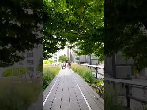 The High Line Nyc The High Line Nyc