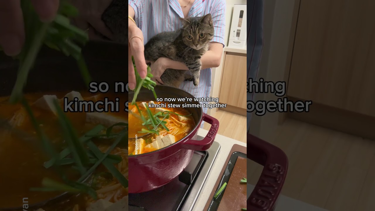 My cat's clingy with Mom😻 