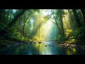 Breathtaking 16K HDR Forest in Emerald Green - Soulful Relaxation & Calmness #chillmusic #asmr