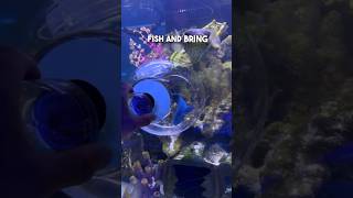 Capturing A Super Rare Fish