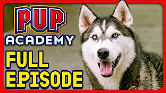 Izzy Gets Busy | Pup Academy Full Episode S1E7