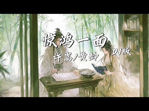驚鴻一面（DJ版）－許嵩、黃齡「有了你 恩怨都似飛鴻踏雪泥」【動態歌詞Lyrics】