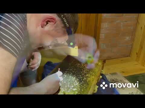 Прививаемая от ИО