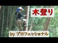 【木登り】林業のプロが木登りすると…（木登り器を使う）