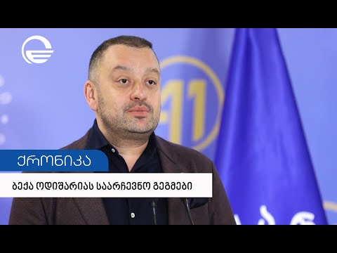 მთაწმინდა-კრწანისის მაჟორიტარობის კანდიდატი საარჩევნო შტაბში ახალგაზრდებს შეხვდა და პრიორიტეტები გაა