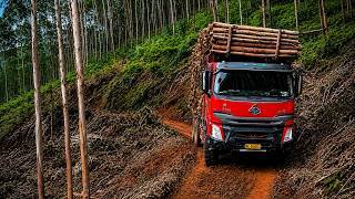 Dangerous Logging Truck Journey | Transporting Huge Timber on Extreme Roads/W Butterfly/