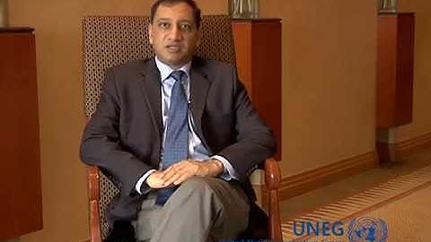 UNEG Strategic Objective One - Indran A. Naidoo