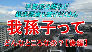 【行先探訪96後】よくある行先「我孫子」ってどんなところなのかレポートします！（後編）