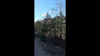 CSX Santa Train | Thats A Wrap
