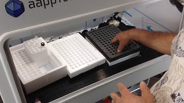 AAPPTec Tutorial - Apex 396 Cleavage Operation Pt 2