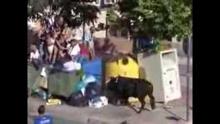 Sustos Y Cogidas 2011 Especial Elche