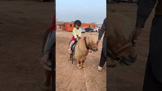 cute girl riding horse🐎♥️🌸#cute #riding #ride #horse #pony #enjoy #fun #ytshorts #shorts #viral