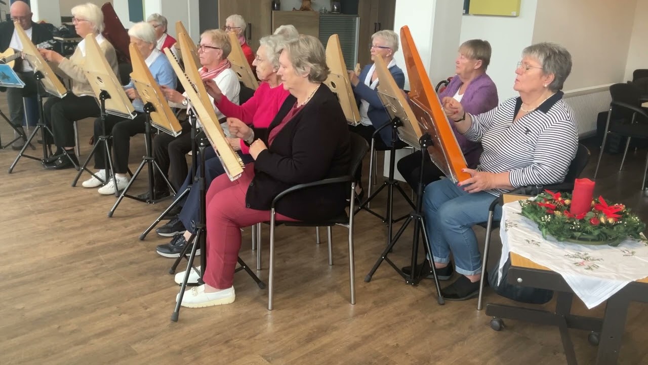 Veeh-Harfen-Ensemble: Hört der Engel helle Lieder