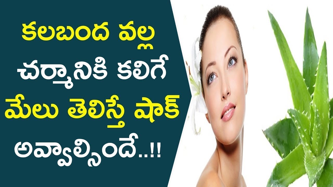 కలబంద వల్ల చర్మానికి కలిగే మేలు తెలిస్తే షాక్ అవ్వాల్సిందే.! | Natural Alovera Tips For Glowing Skin beautycon