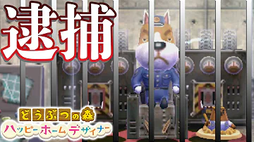 تحميل 任天堂も見捨てたハピ森の現状が無法地帯すぎる 26 どうぶつの森ハッピーホームデザイナー 実況プレイ Mp4 Mp3 تحميل 任天堂も見捨てたハピ森の現状が無法地帯すぎる 26 どうぶつの森ハッピーホームデザイナー 実況プレイ Mp4 Mp3