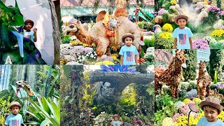 Avatar Adventure in Cloud Forest & Floral Bliss at Flower Dome | Gardens by the Bay, Singapore!