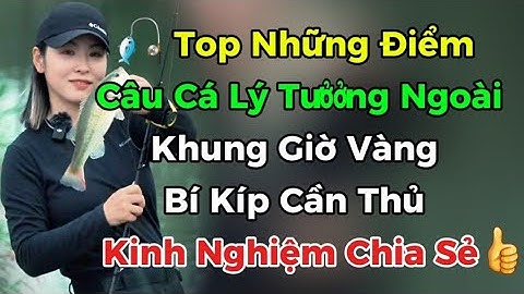 🎣 Top Những Địa Điểm Câu Cá Lý Tưởng Ngoài Khung Giờ Vàng – Bí Kíp Cần Thủ Kinh Nghiệm Chia Sẻ