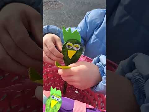 Crazy Duck quack quac 😀