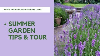 Summer garden tips & tour - keep your lavender and roses looking good!