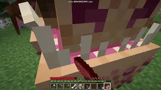 minecraft ejderha adası 2 bölüm