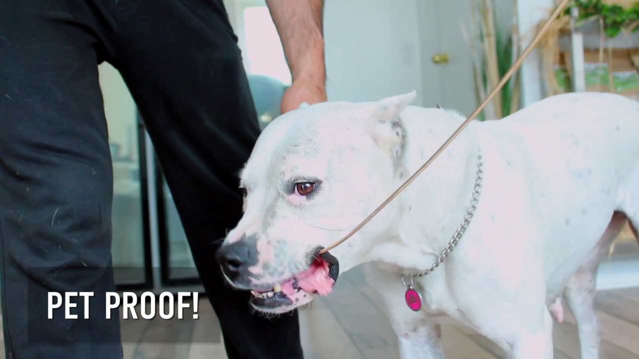 Rockstone - Pet Proof Tangle Free Metal Cables