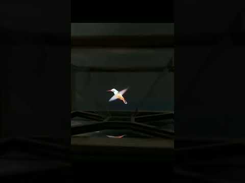 DIY 3D holographic