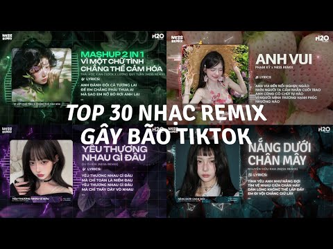 TOP 30 Nhạc Remix Gây Bão TikTok: Vì Một Chữ Tình, Chẳng Thể Cảm Hóa, Anh Vui, Nắng Dưới Chân Mây