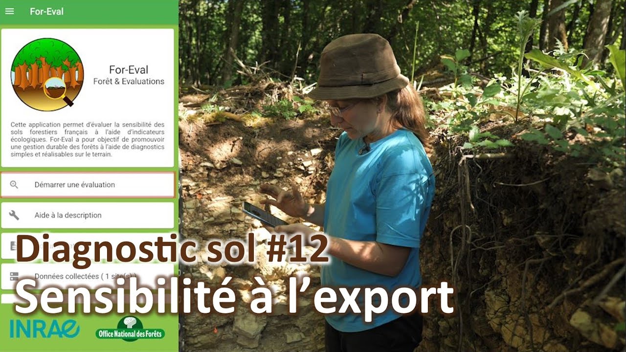 Diagnostic sol #12 | Sensibilité à l'export