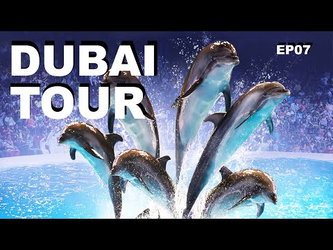 Dubai Tour | Dolphin Show and Seal Show | Dubai Dolphinarium | EP 07