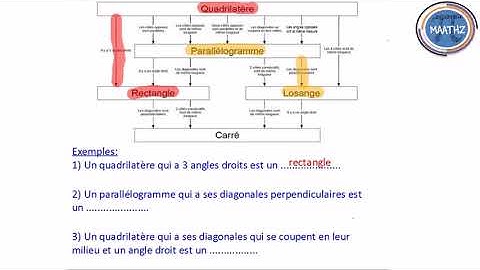 Du parallélogramme aux parallélogrammes particuliers (Organigramme)