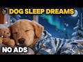 12 HOURS of Dog Calming Music For Dogs🎵💖Anti Separation Anxiety Relief Music🐶Dog TV Healing🎵