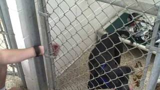 The Great 8 Come To St. Louis