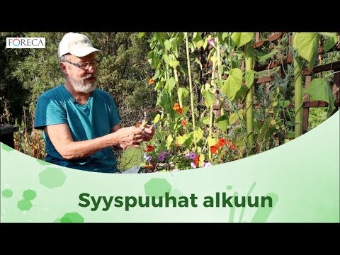 Video SäHköInen Resepti Sossu