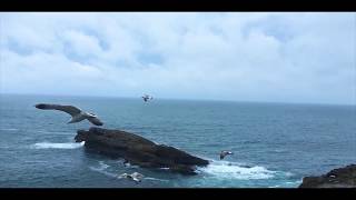 A DAY IN BIARRITZ