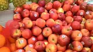 VID00084.AVI