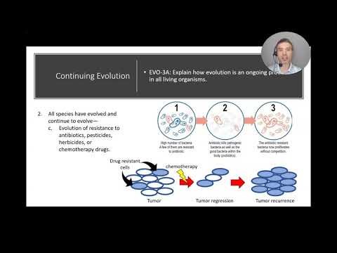 7.8 Continuing Evolution - YouTube