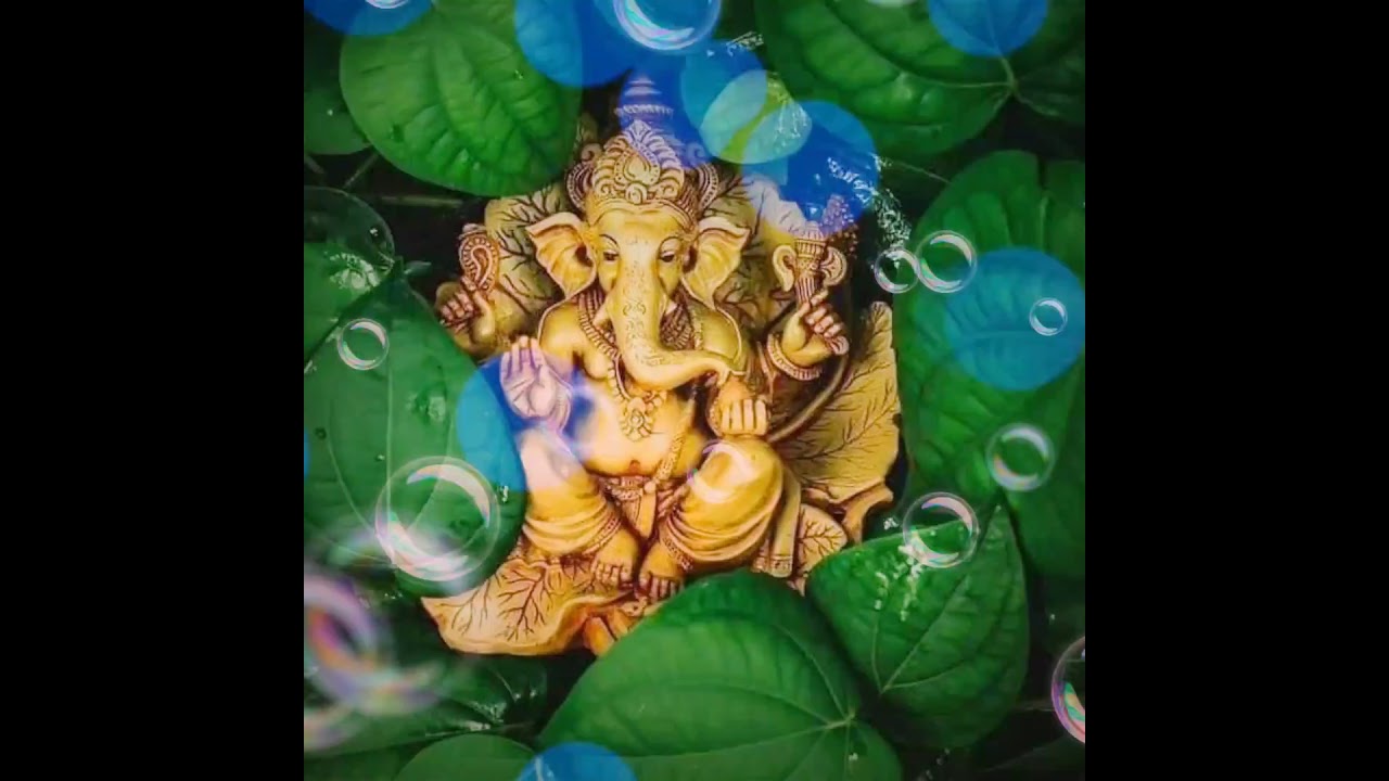 Vinayar video States