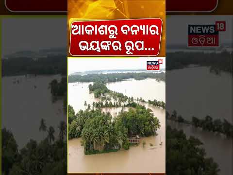 ବନ୍ୟାର ଭୟଙ୍କର ଦୃଶ୍ୟ ! Odisha Flood Update | Balasore Flood News | Flood In Odisha | Odia News