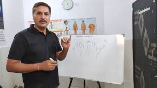 Basic knowledge of #Ayurveda Acupressure #acupressuretraining #sujoktherapytraining #tcm screenshot 4
