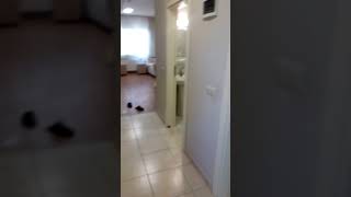 Abdülkadir Güllüoğlu Kyk Yurdu Odası A Blok