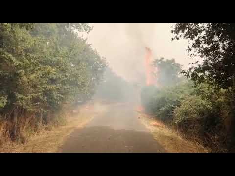 Incendio ad Abbasanta