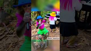 berondol sawit 😅😅🐒 #lagulucu #remix #monyet #videolucu #hiburan #hewanlucu #videoviral