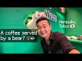 A coffee served by a bear??? Anakuma cafe Harajuku Mp3 Song