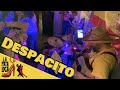 Despacito - La Pata Loca @ the Coach &amp; Horses 29:04:23