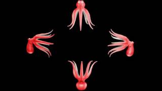 Information Spectre Hologram Octopus Movie Guide