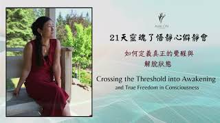 如何定義真正的覺醒與解脫狀態 Crossing the Threshold into True Awakening and True Freedom in Consciousness (4)