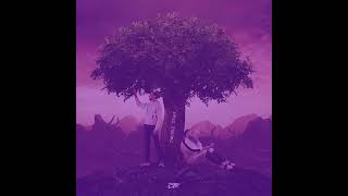 DTF Dans ma fonce (Slow and reverb)