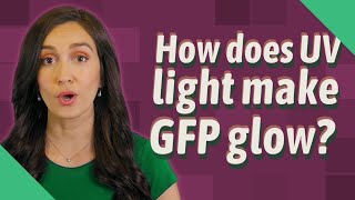 How does UV light make GFP glow